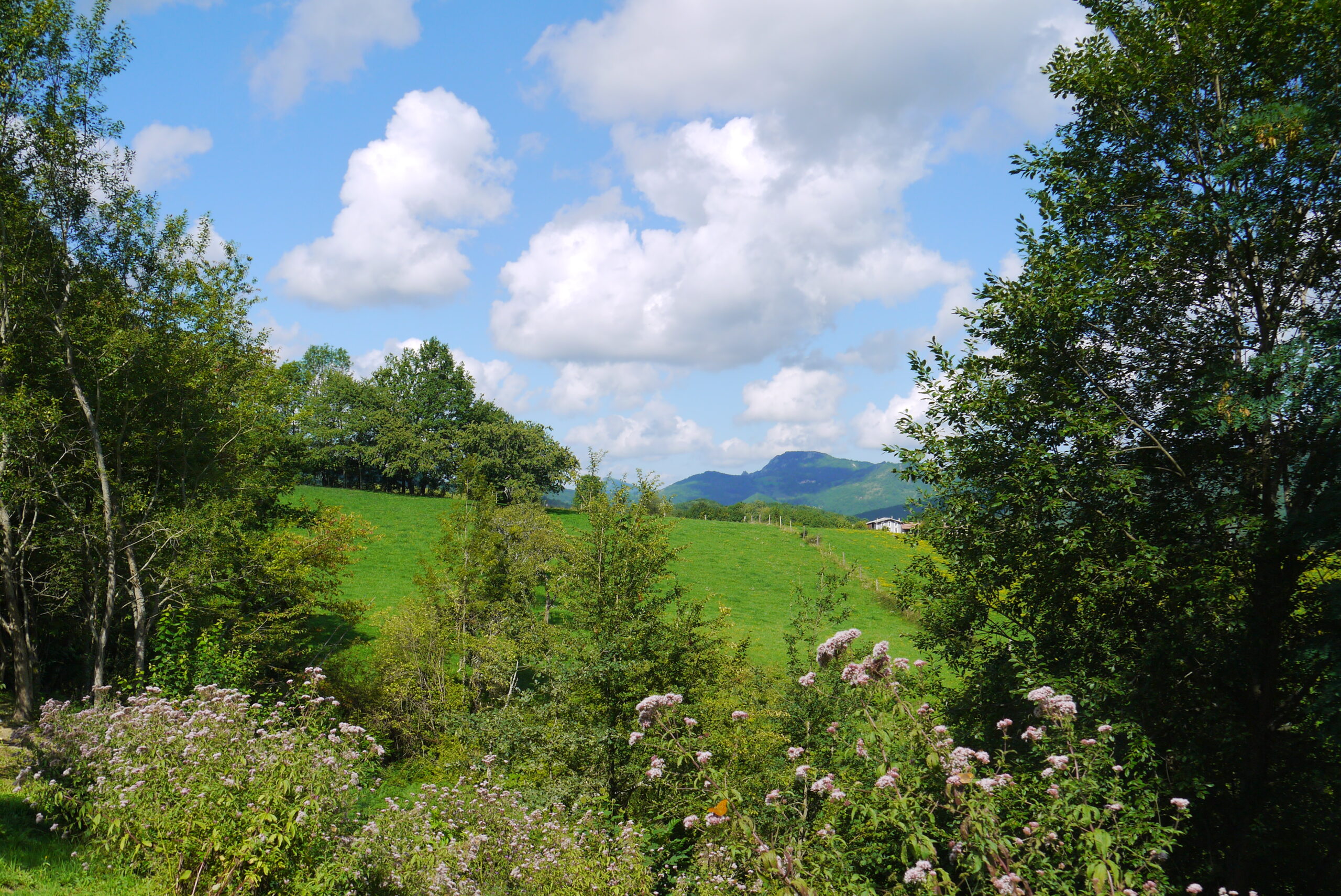 The Campsite