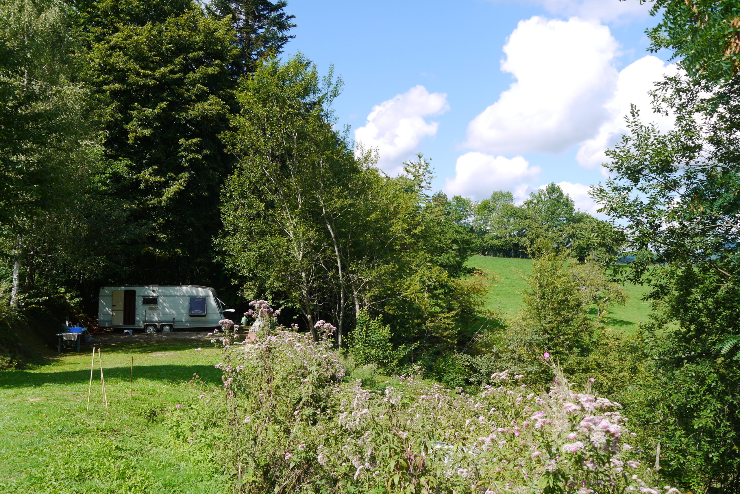 The Caravans